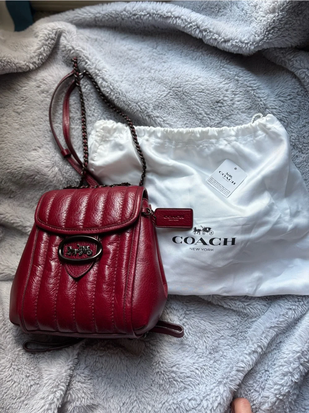 Coach authentic melody